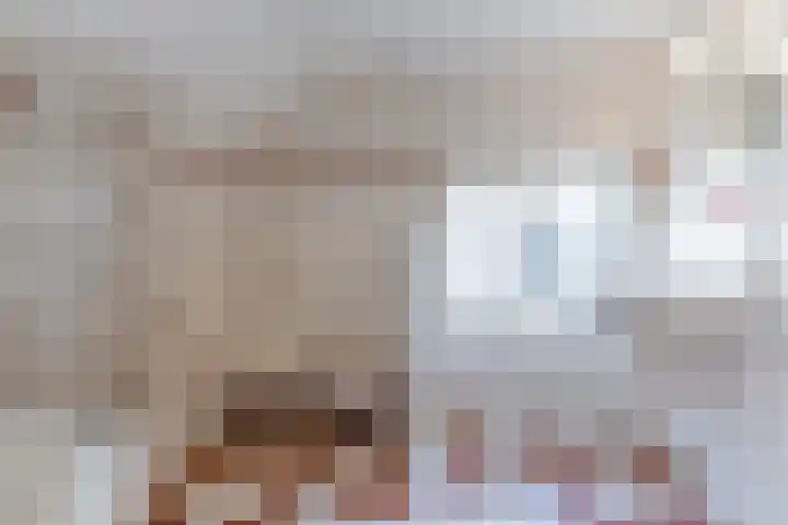 Kievitstraat 79 Geldrop thumbnail 27
