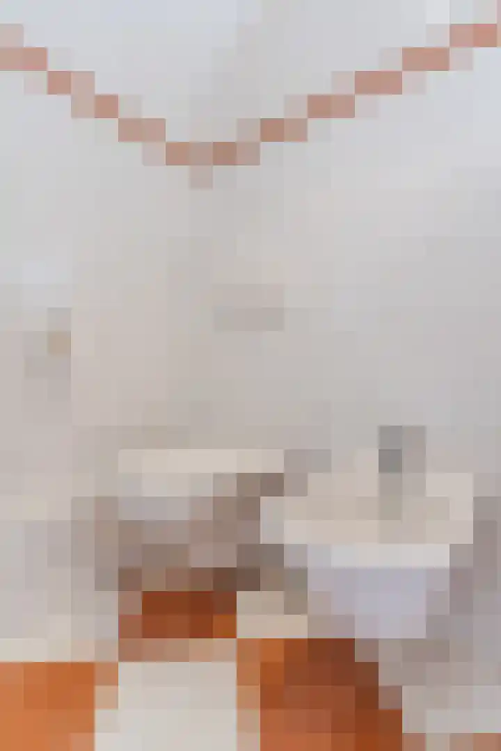 Kievitstraat 79 Geldrop thumbnail 28