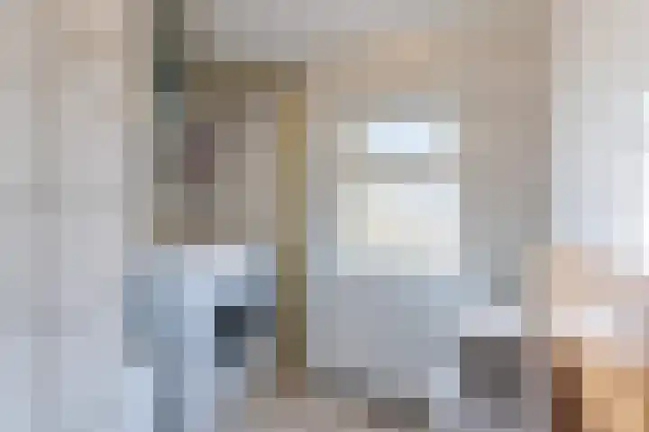 Kievitstraat 79 Geldrop thumbnail 29