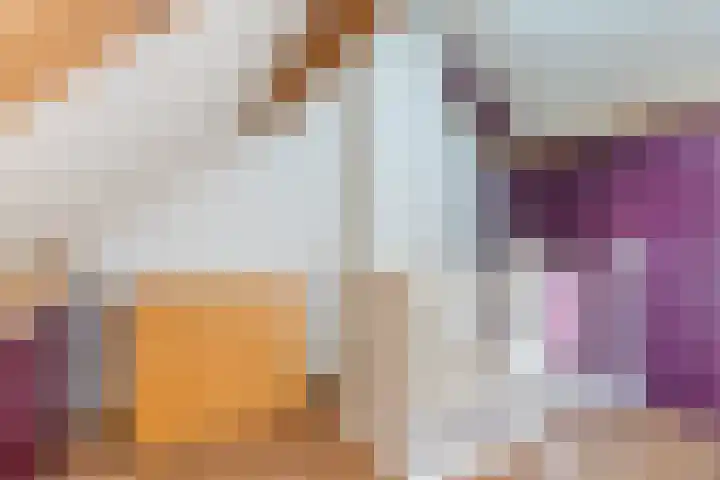 Kievitstraat 79 Geldrop thumbnail 31