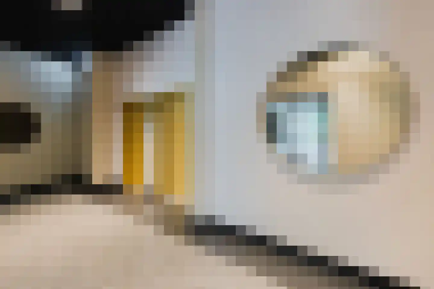 Kievitstraat 79 Geldrop thumbnail 42