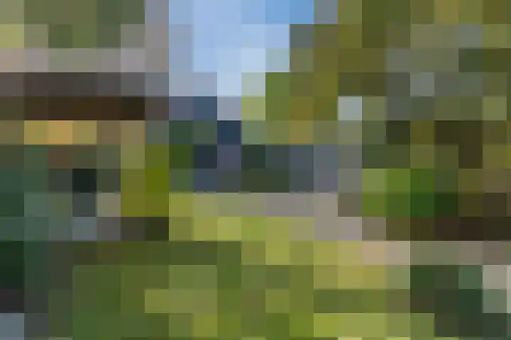 Kievitstraat 79 Geldrop thumbnail 42