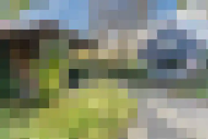 Kievitstraat 79 Geldrop thumbnail 43