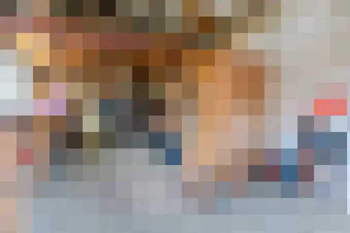 Kievitstraat 79 Geldrop thumbnail 48