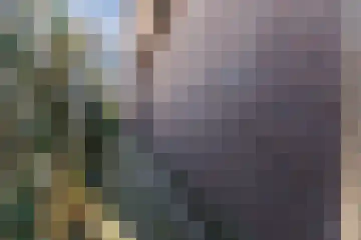 Kievitstraat 79 Geldrop thumbnail 49