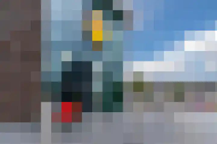 Kievitstraat 79 Geldrop thumbnail 53