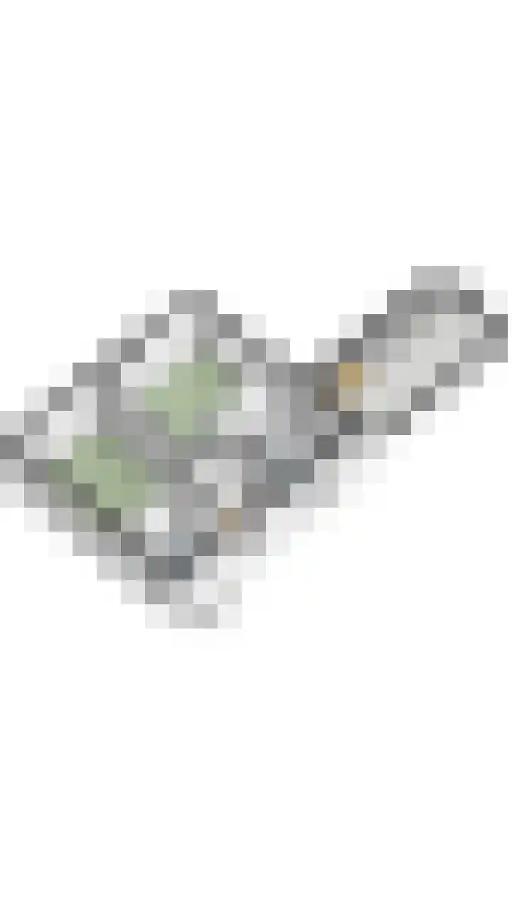 Kievitstraat 79 Geldrop thumbnail 62