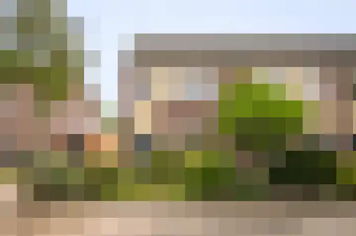 Kievitstraat 9 Beneden-Leeuwen thumbnail 21