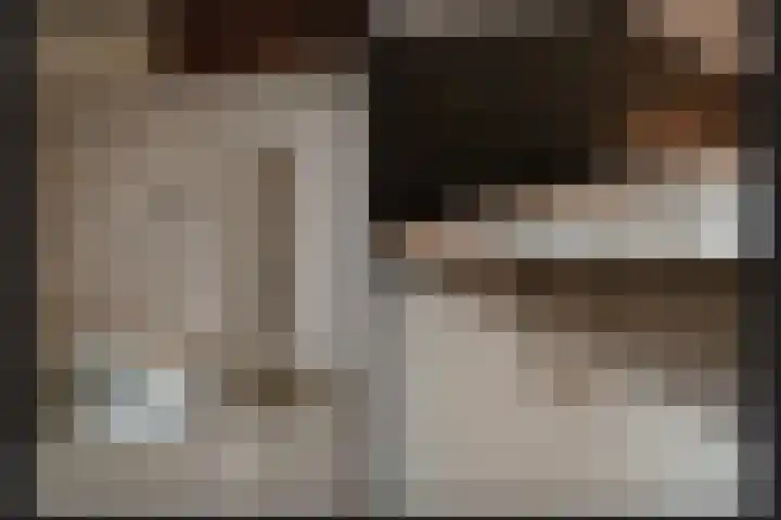 Kievitstraat 9 Beneden-Leeuwen thumbnail 8