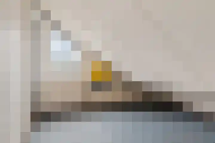 Kievitstraat 9 Delden thumbnail 31