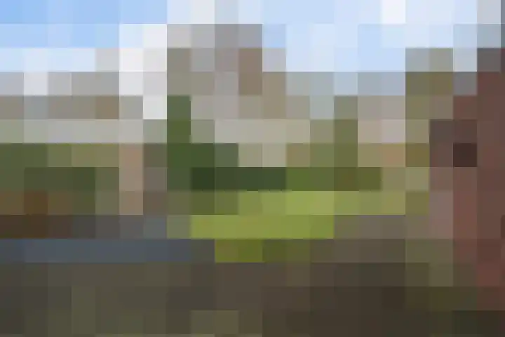 Kievitstraat 9 Delden thumbnail 32