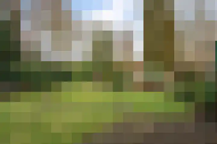 Kievitstraat 9 Delden thumbnail 34