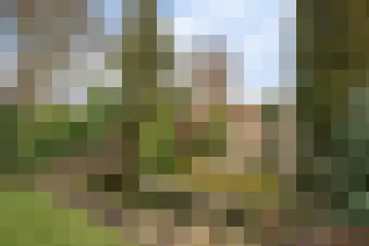 Kievitstraat 9 Delden thumbnail 37