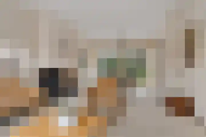Kievitstraat 9 Delden thumbnail 9