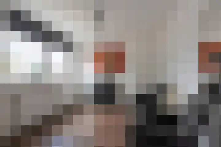 Kievitstraat 9 Kerkrade thumbnail 15