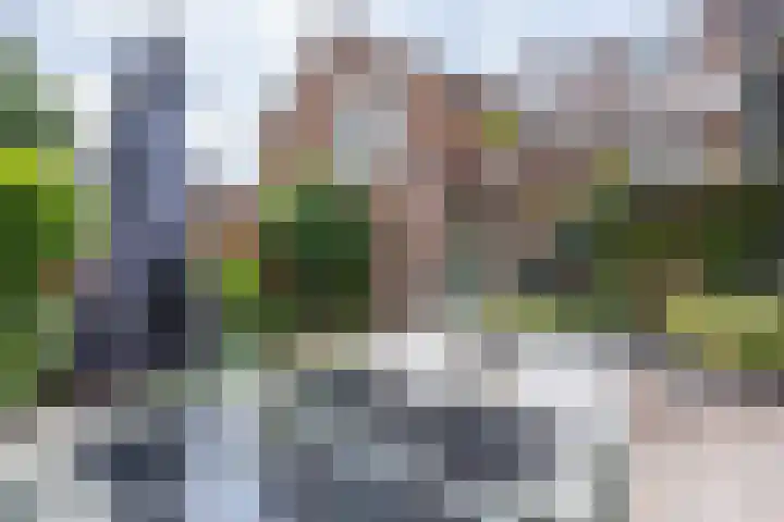 Kievitstraat 9 Kerkrade thumbnail 21