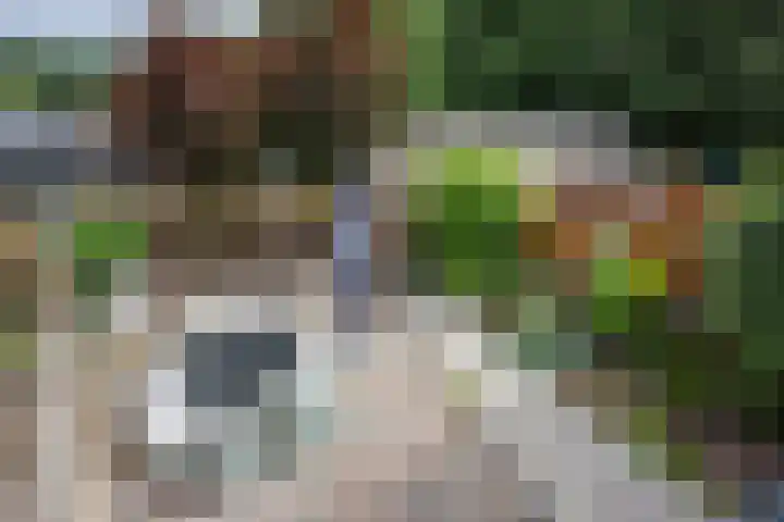 Kievitstraat 9 Kerkrade thumbnail 22