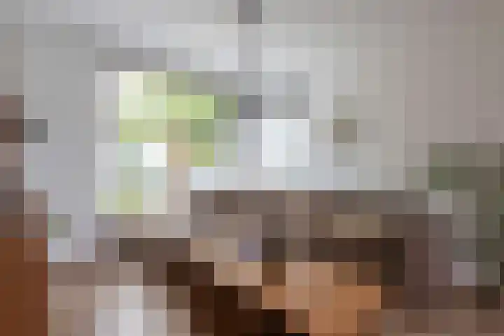 Kievitstraat 9 Kerkrade thumbnail 4