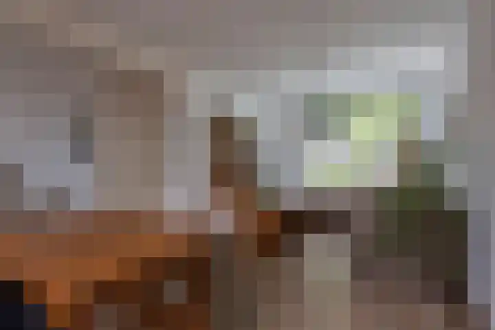 Kievitstraat 9 Kerkrade thumbnail 5