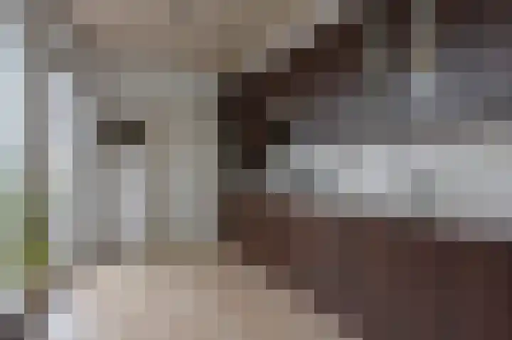 Kievitstraat 9 Kerkrade thumbnail 8