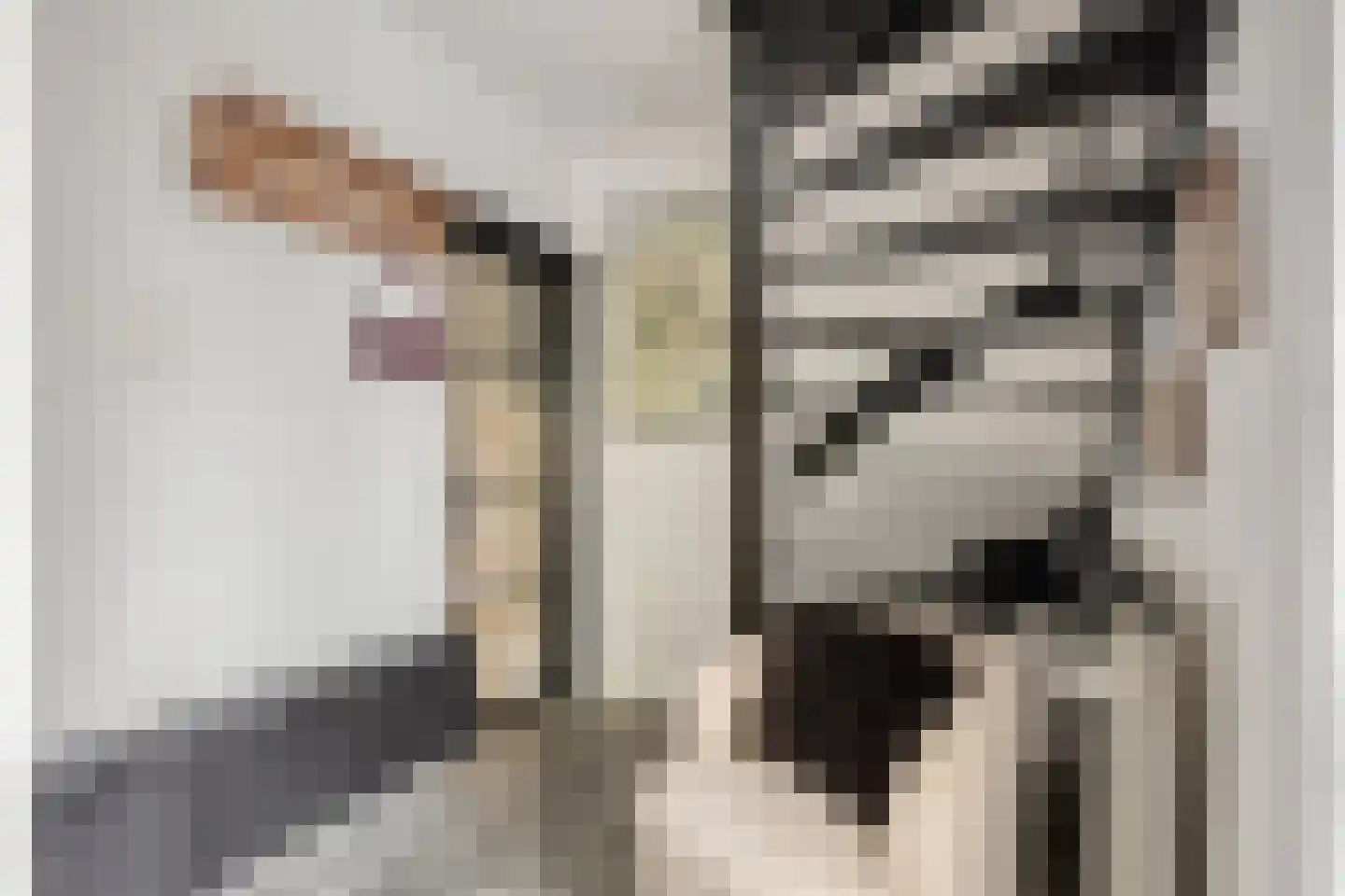 Kievitsvenstraat 15 Uitgeest thumbnail 17
