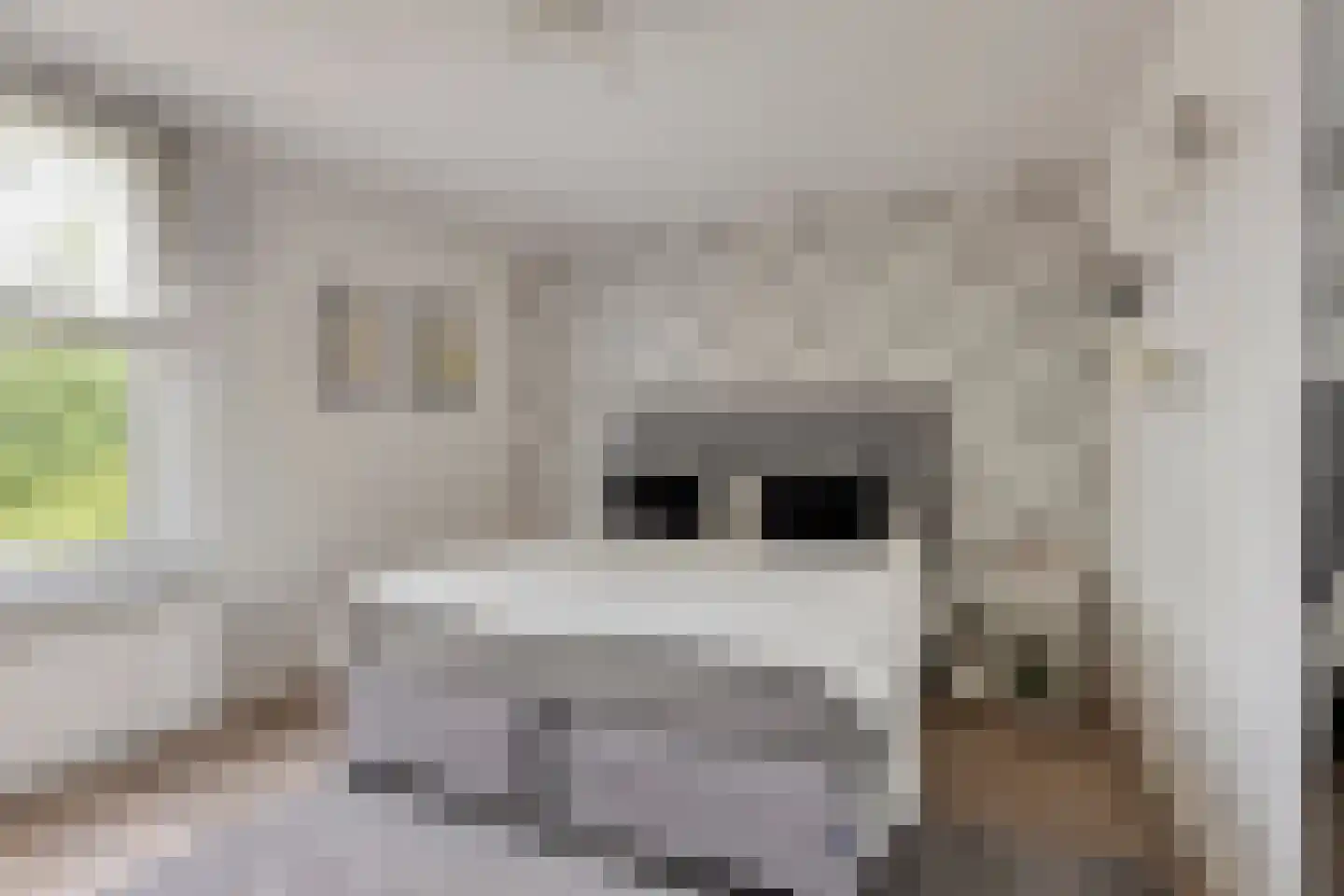 Kievitsvenstraat 15 Uitgeest thumbnail 21