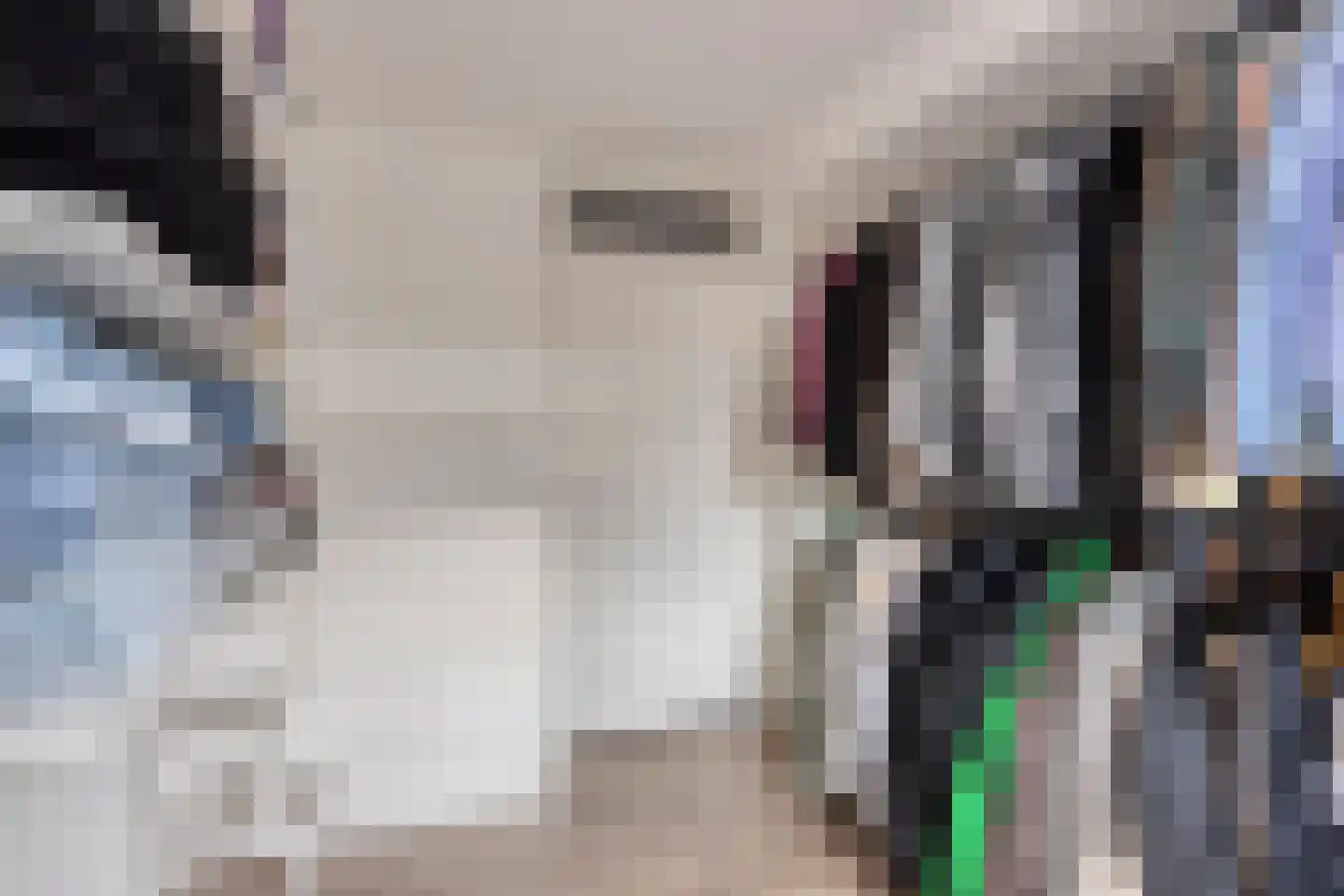 Kievitsvenstraat 15 Uitgeest thumbnail 23