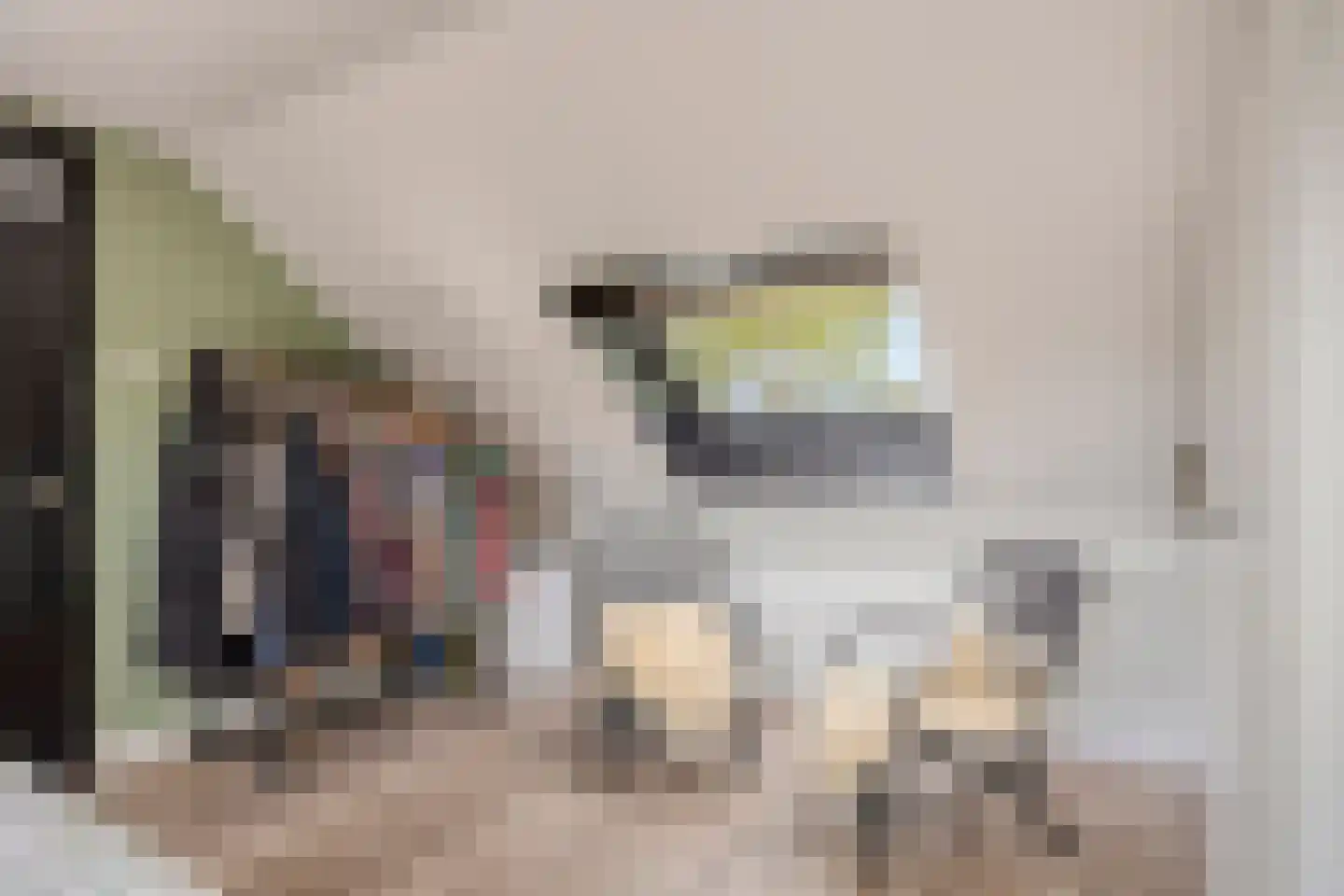 Kievitsvenstraat 15 Uitgeest thumbnail 31