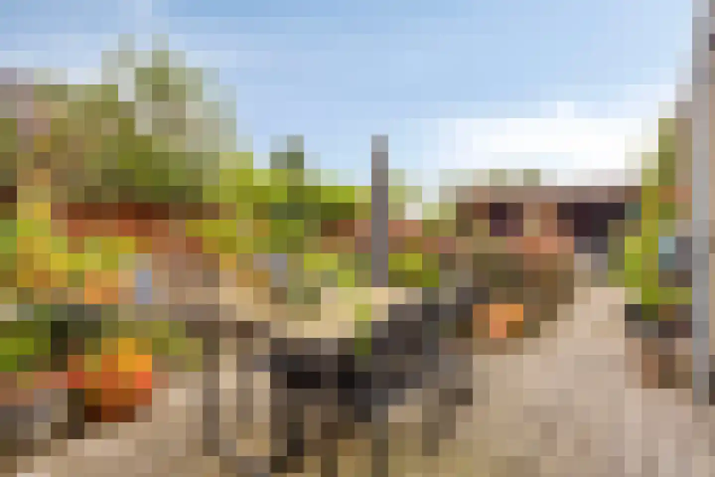 Kievitsvenstraat 15 Uitgeest thumbnail 38