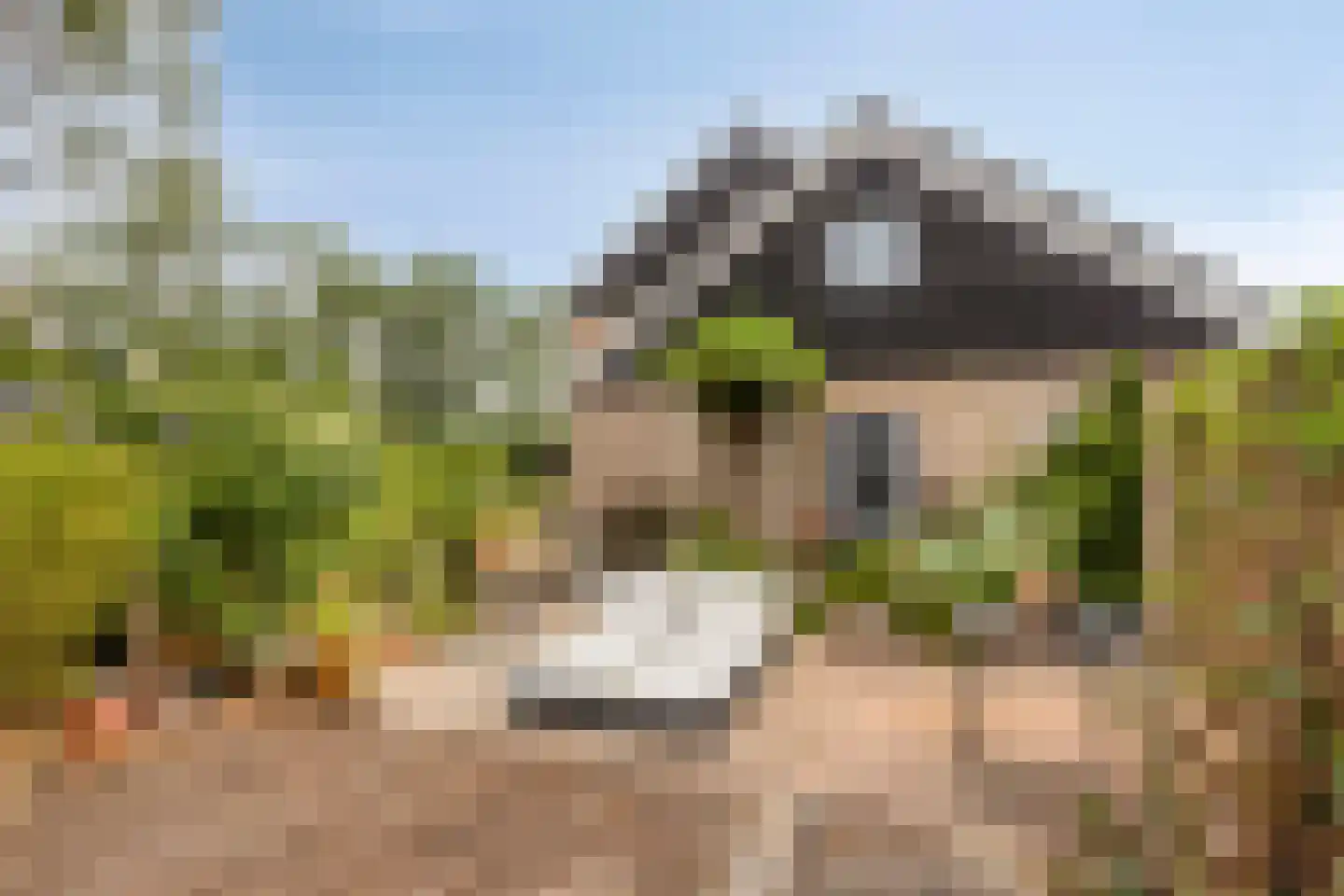 Kievitsvenstraat 15 Uitgeest thumbnail 46