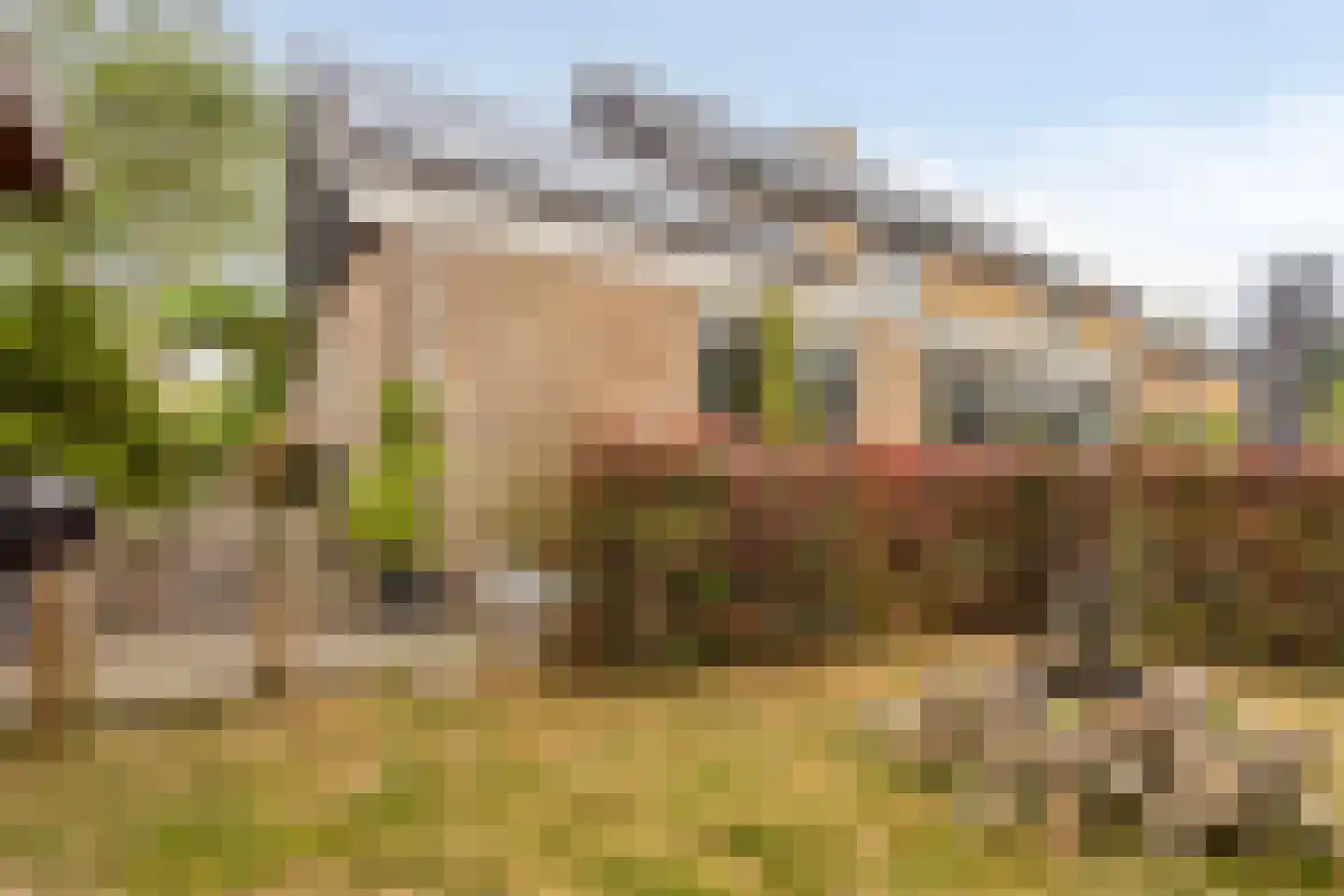 Kievitsvenstraat 15 Uitgeest thumbnail 48