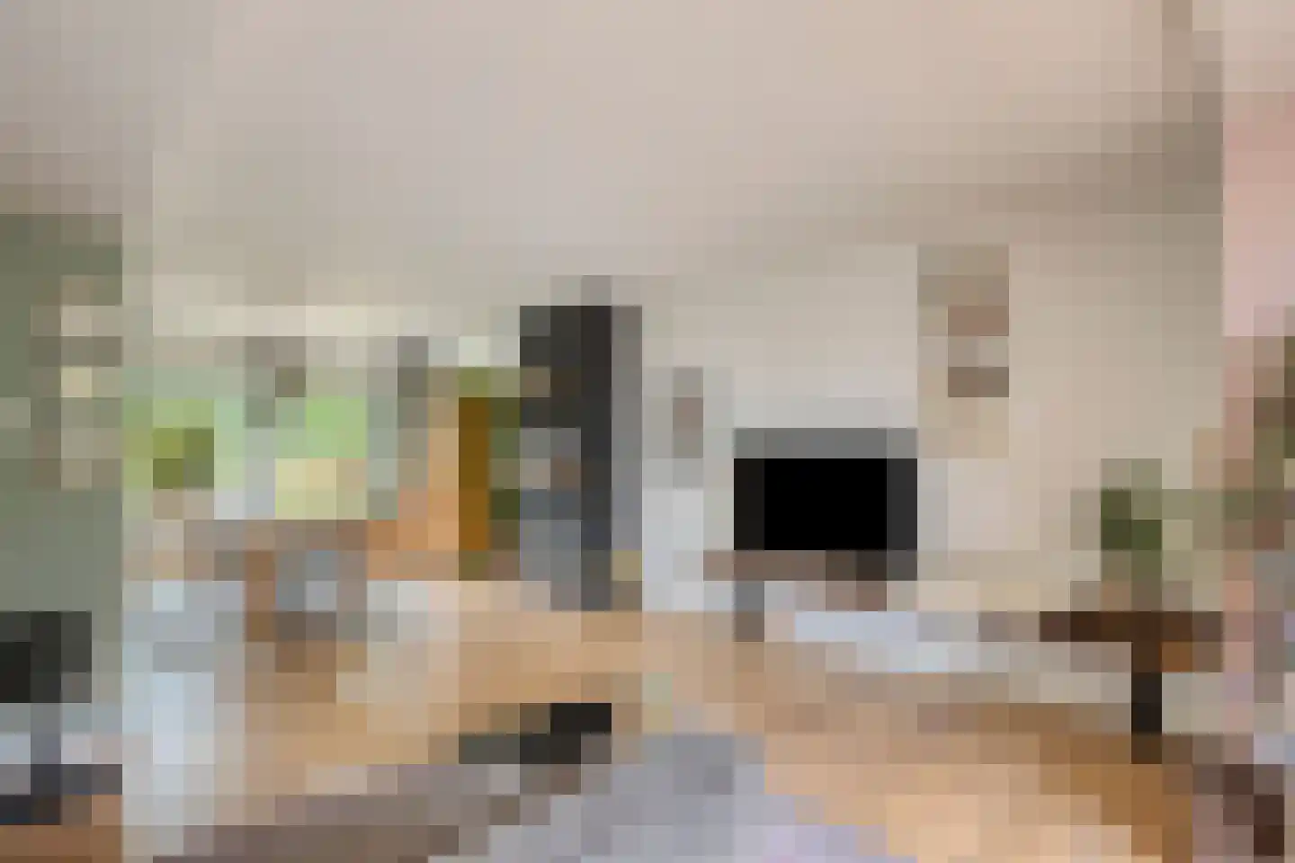 Kievitsvenstraat 15 Uitgeest thumbnail 5