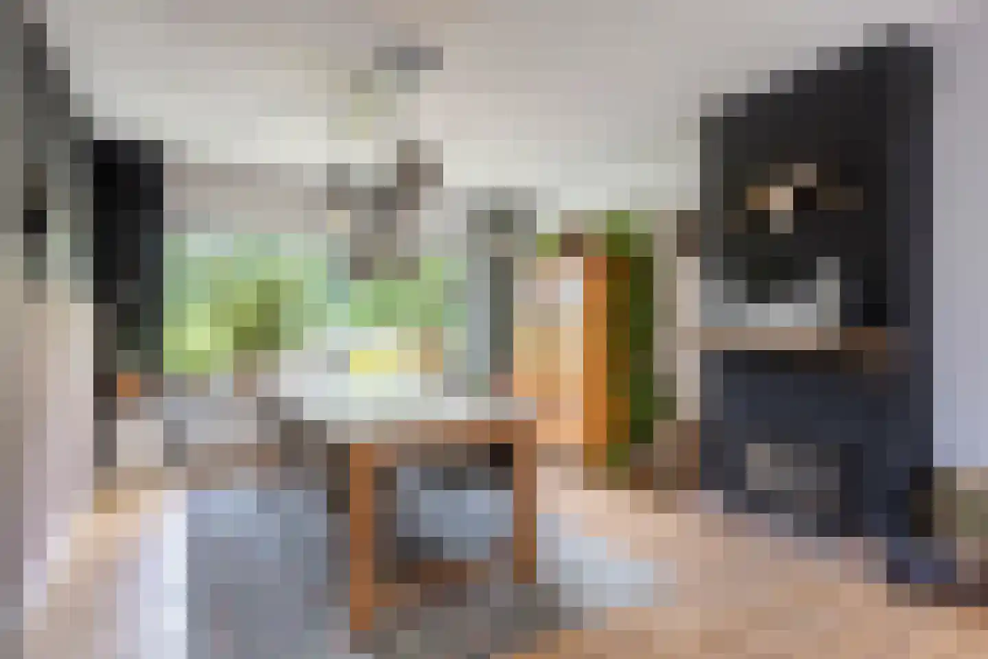 Kievitsvenstraat 15 Uitgeest thumbnail 9