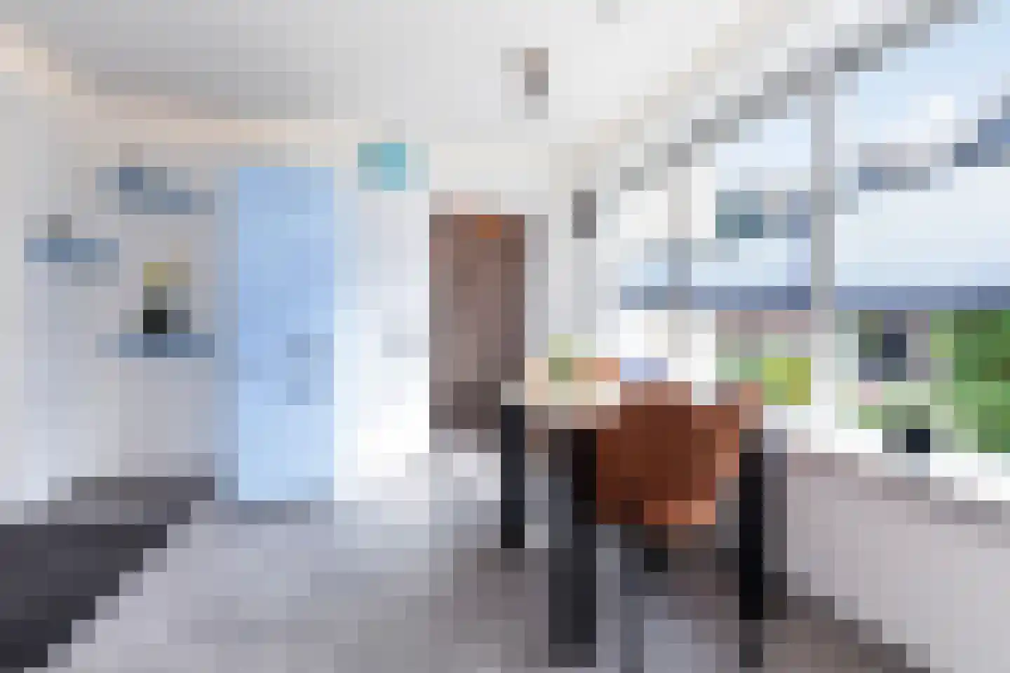 Kievitsweer 1 Groot-Ammers thumbnail 13