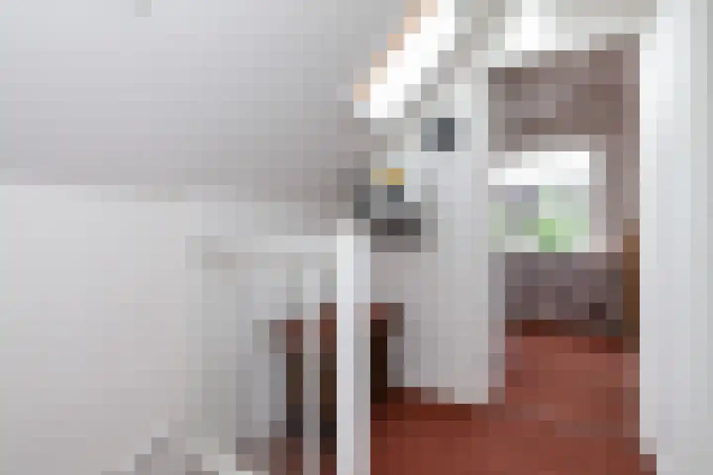 Kievitsweer 1 Groot-Ammers thumbnail 14