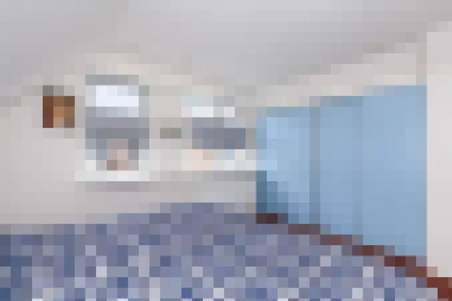 Kievitsweer 1 Groot-Ammers thumbnail 17