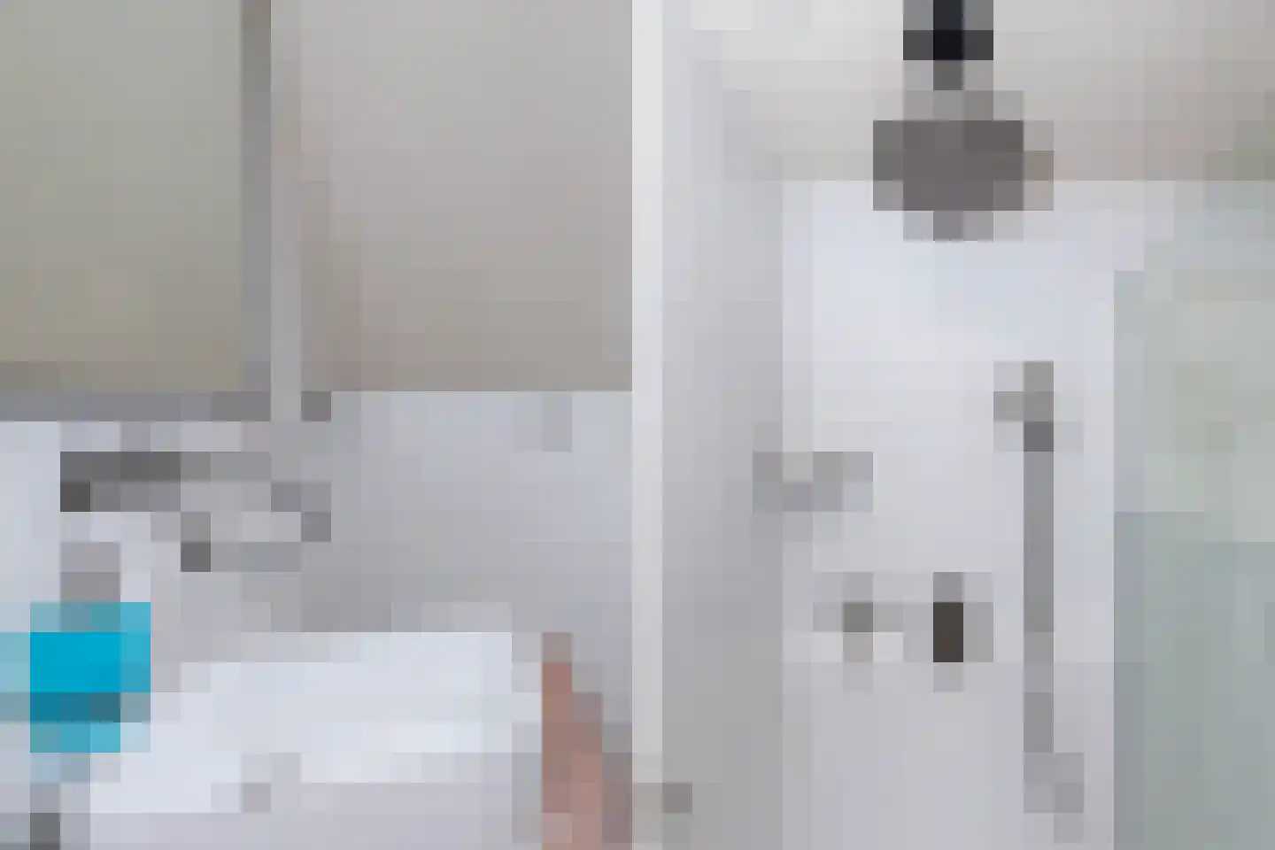 Kievitsweer 1 Groot-Ammers thumbnail 23
