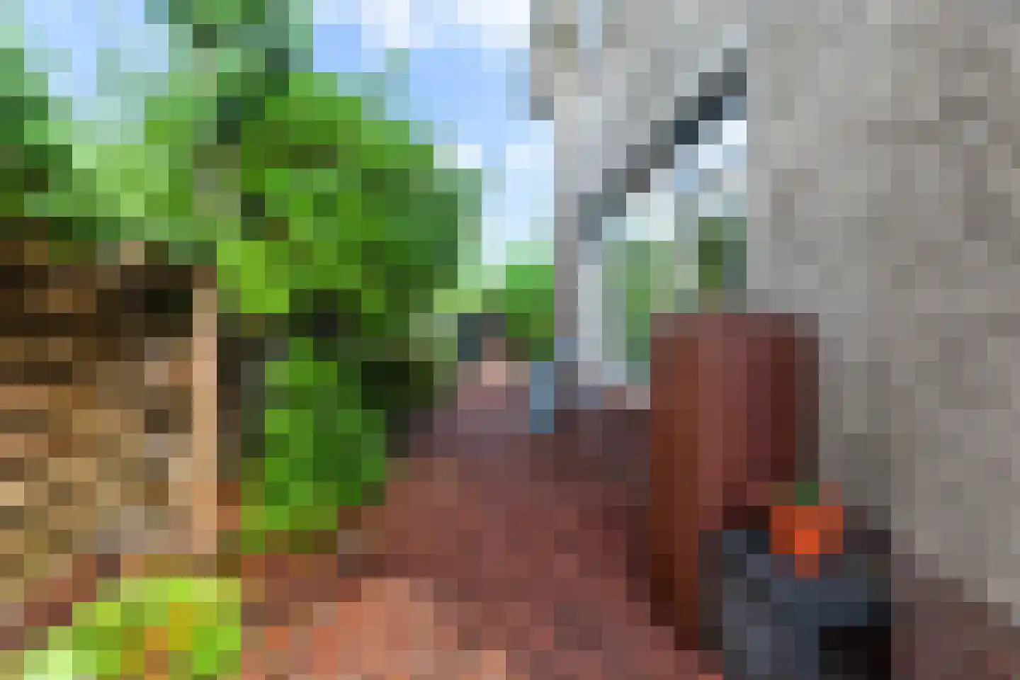 Kievitsweer 1 Groot-Ammers thumbnail 27