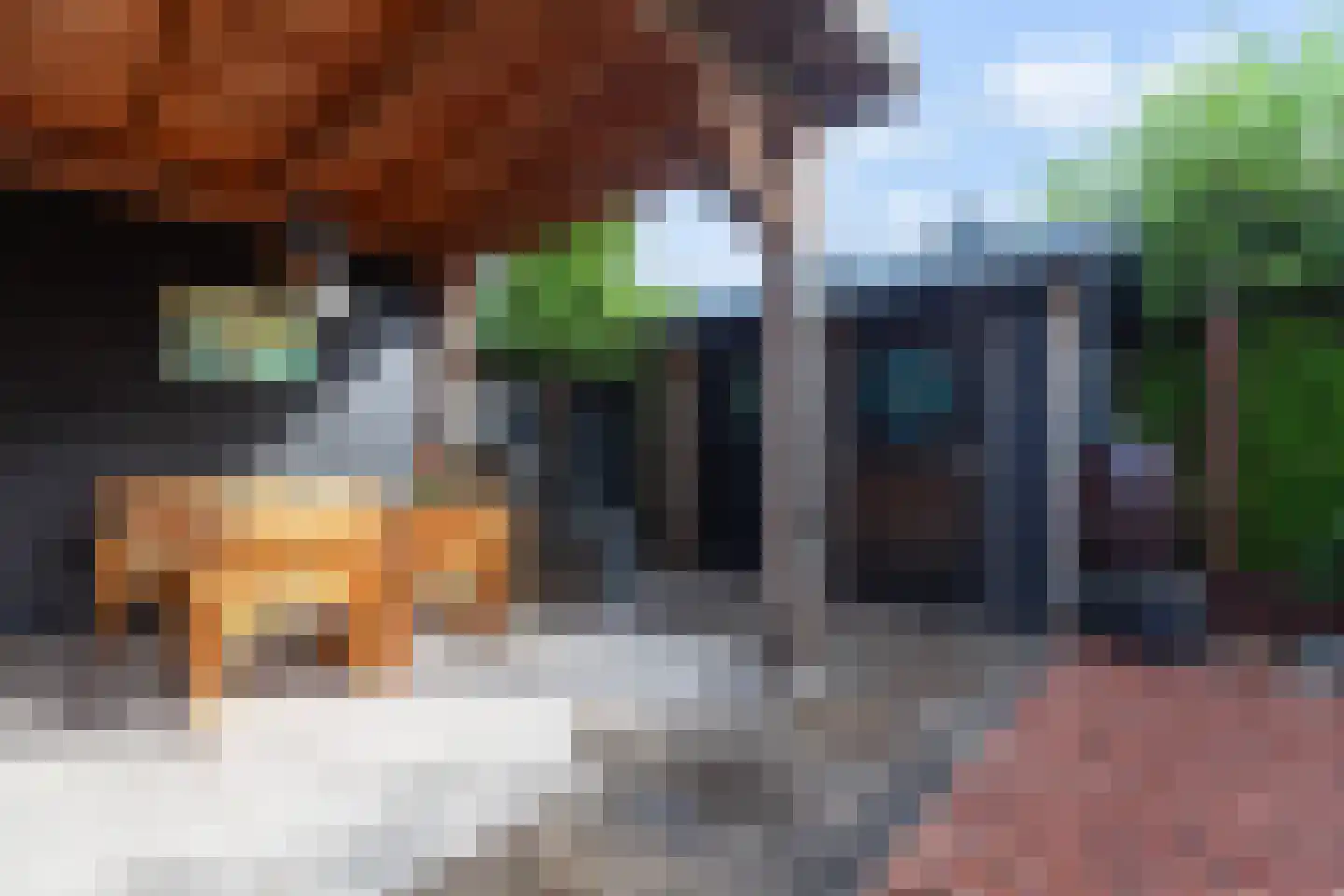 Kievitsweer 1 Groot-Ammers thumbnail 29