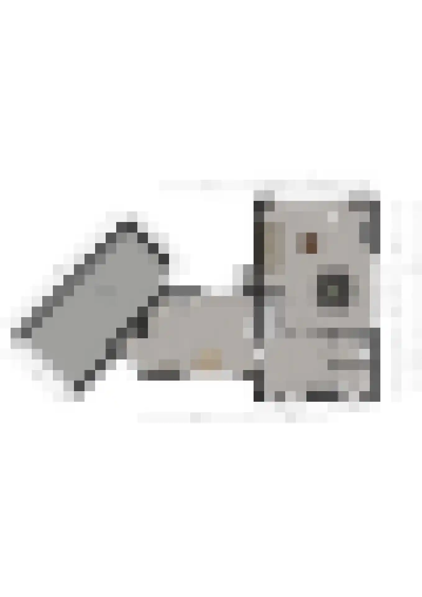 Kievitsweer 1 Groot-Ammers thumbnail 38