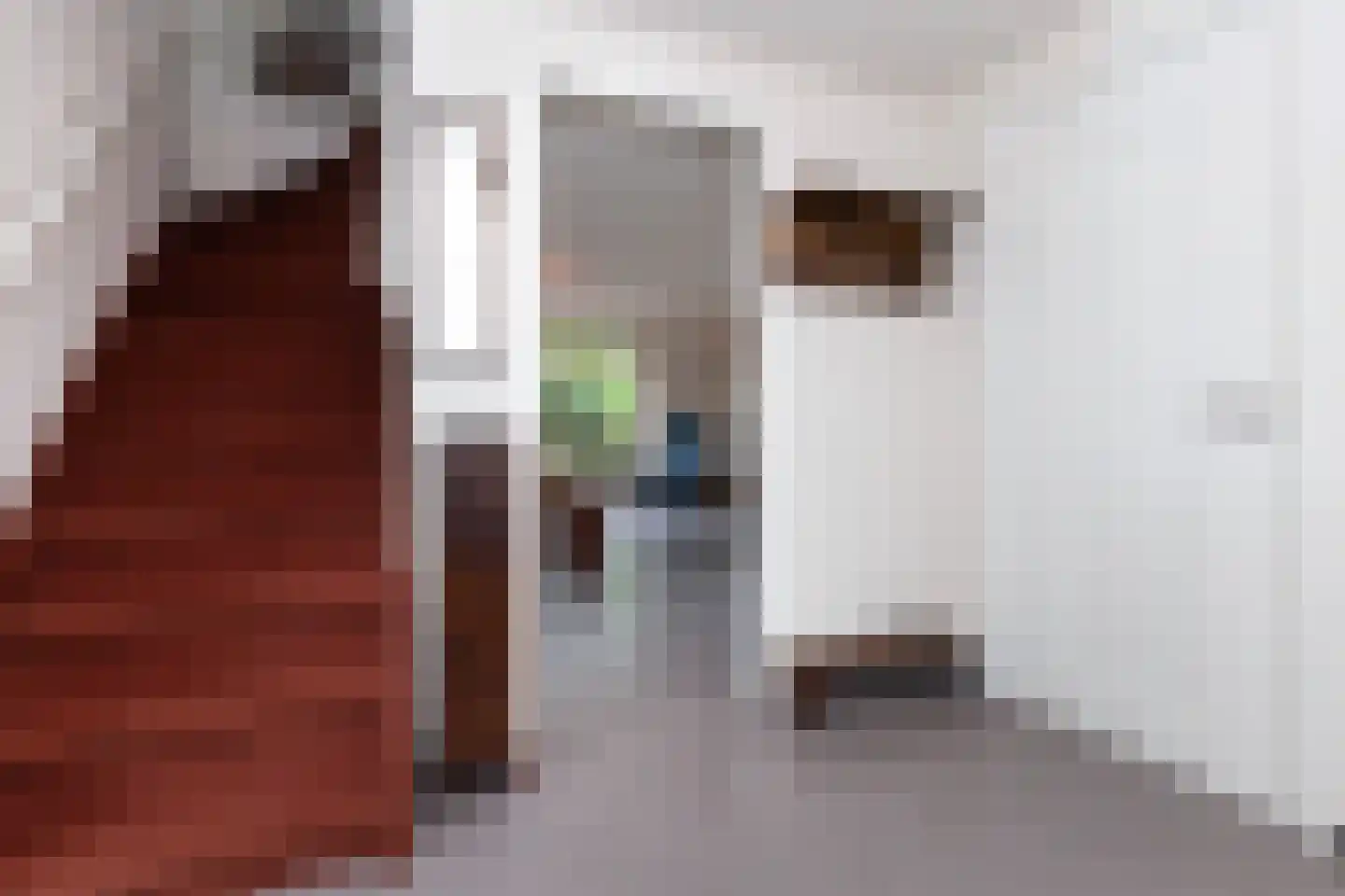 Kievitsweer 1 Groot-Ammers thumbnail 6