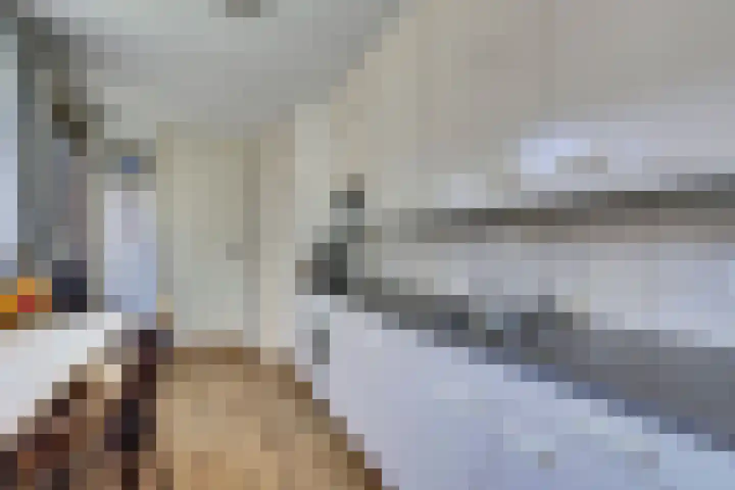 Kievitsweg 101 Ridderkerk thumbnail 12
