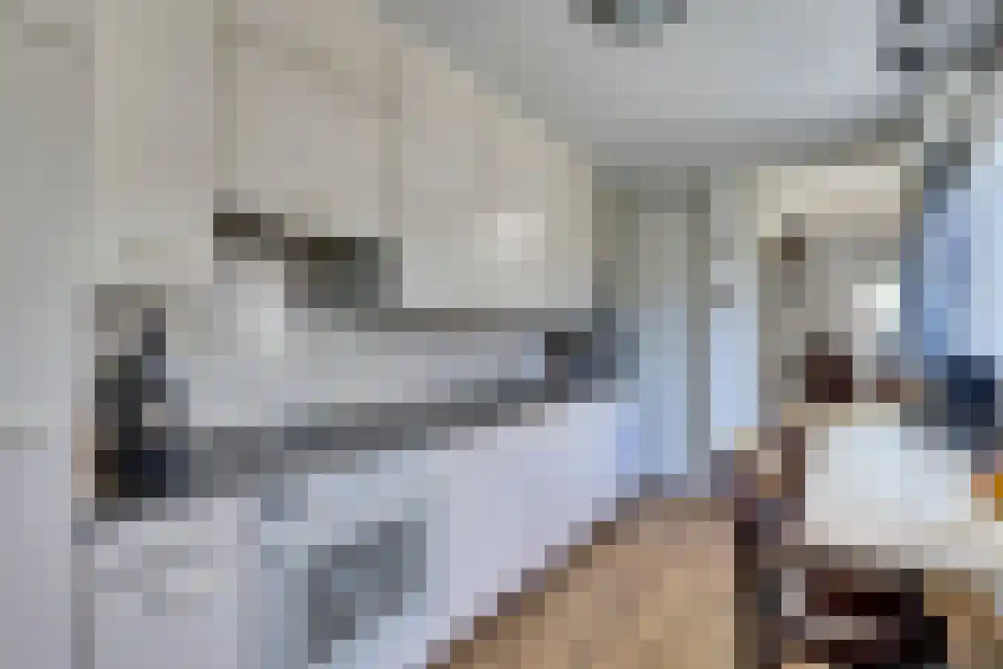Kievitsweg 101 Ridderkerk thumbnail 14