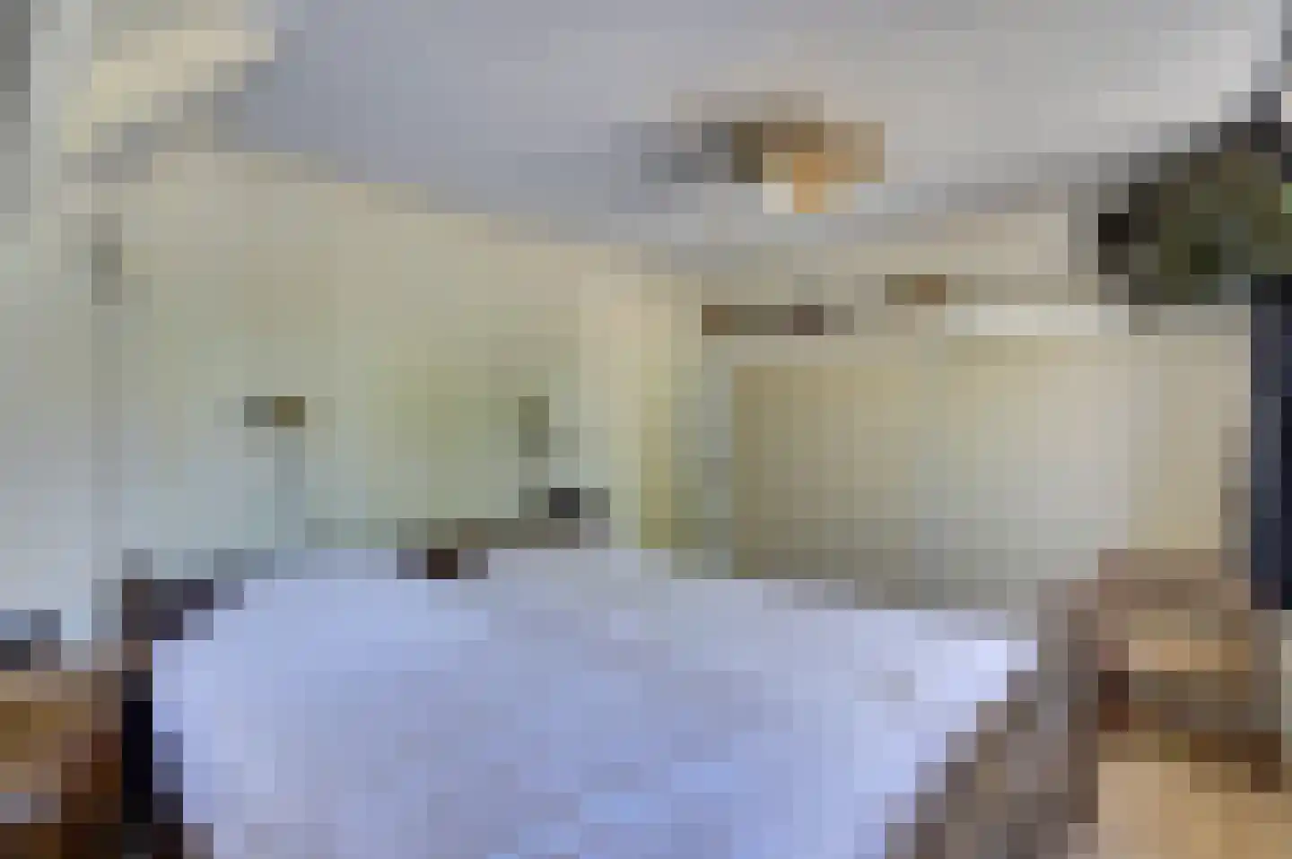 Kievitsweg 101 Ridderkerk thumbnail 20