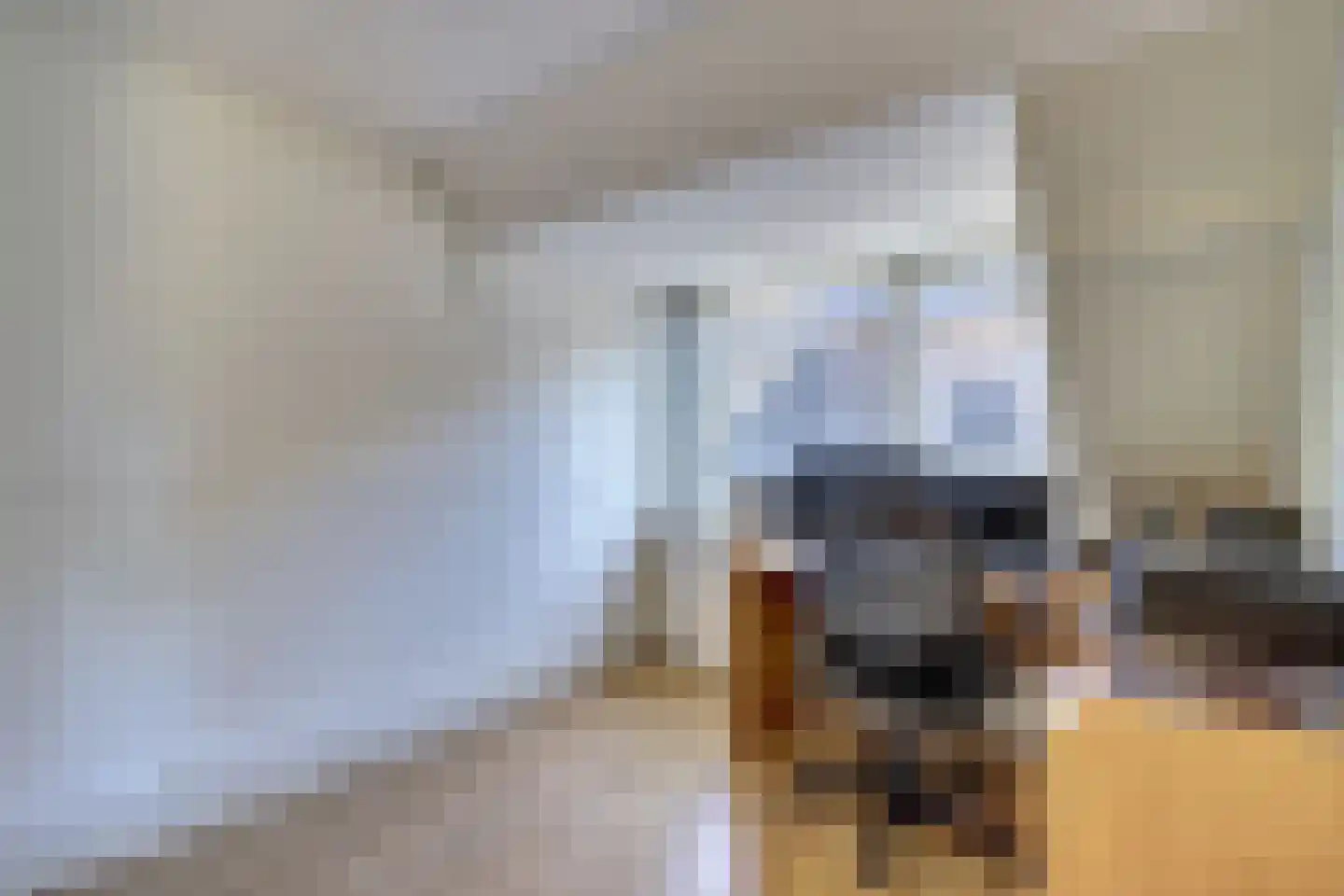 Kievitsweg 101 Ridderkerk thumbnail 21