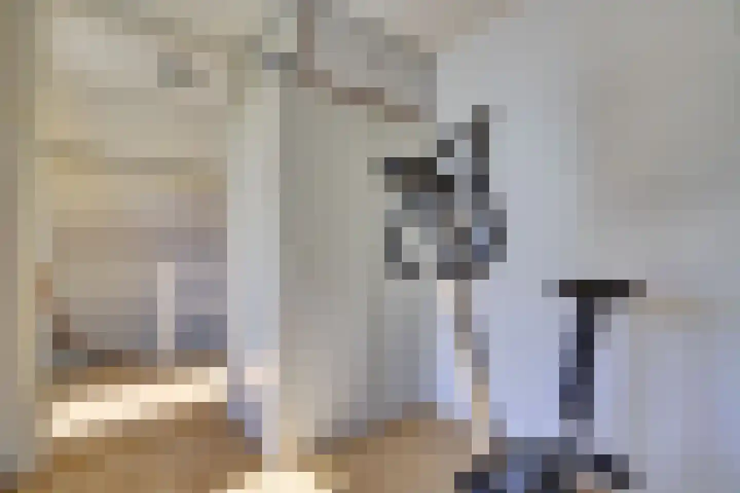 Kievitsweg 101 Ridderkerk thumbnail 24