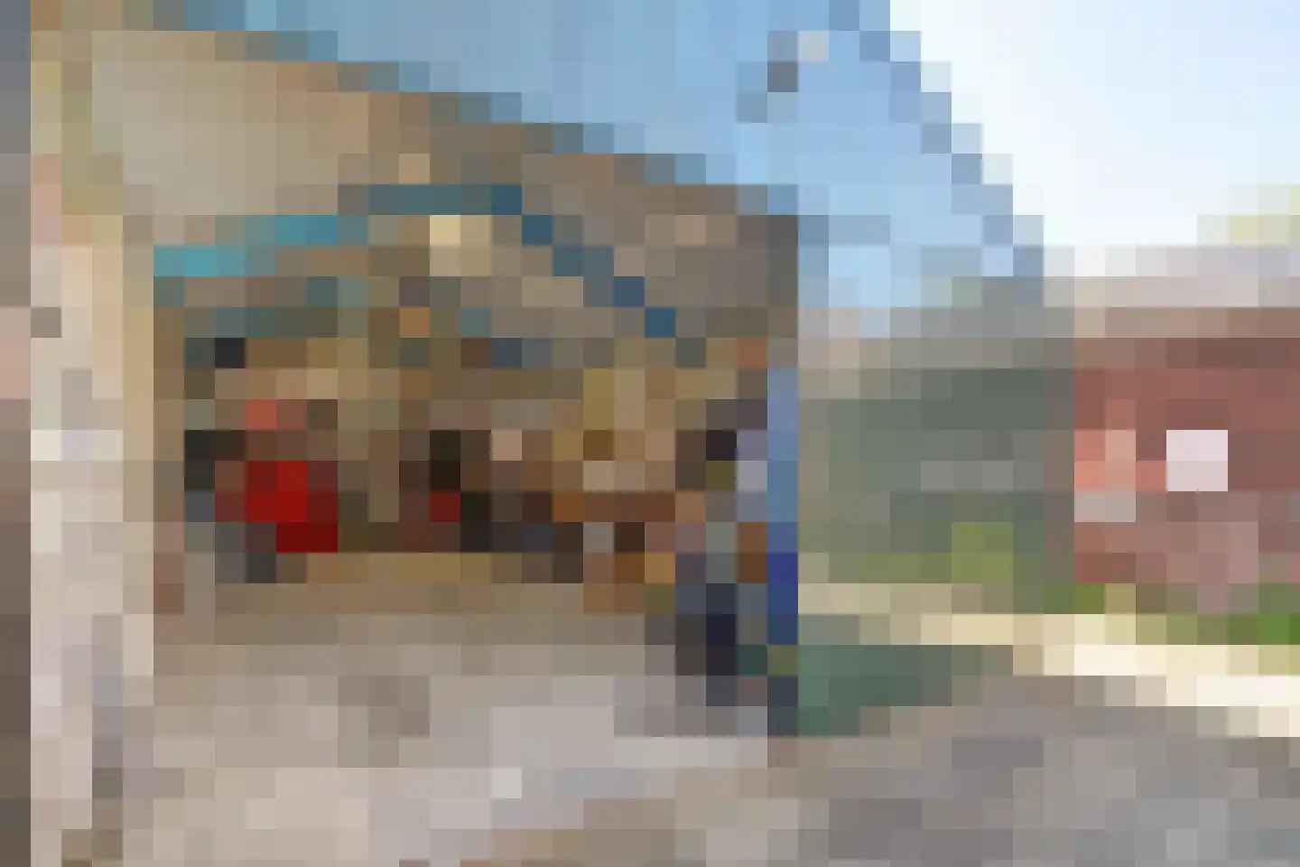 Kievitsweg 101 Ridderkerk thumbnail 32
