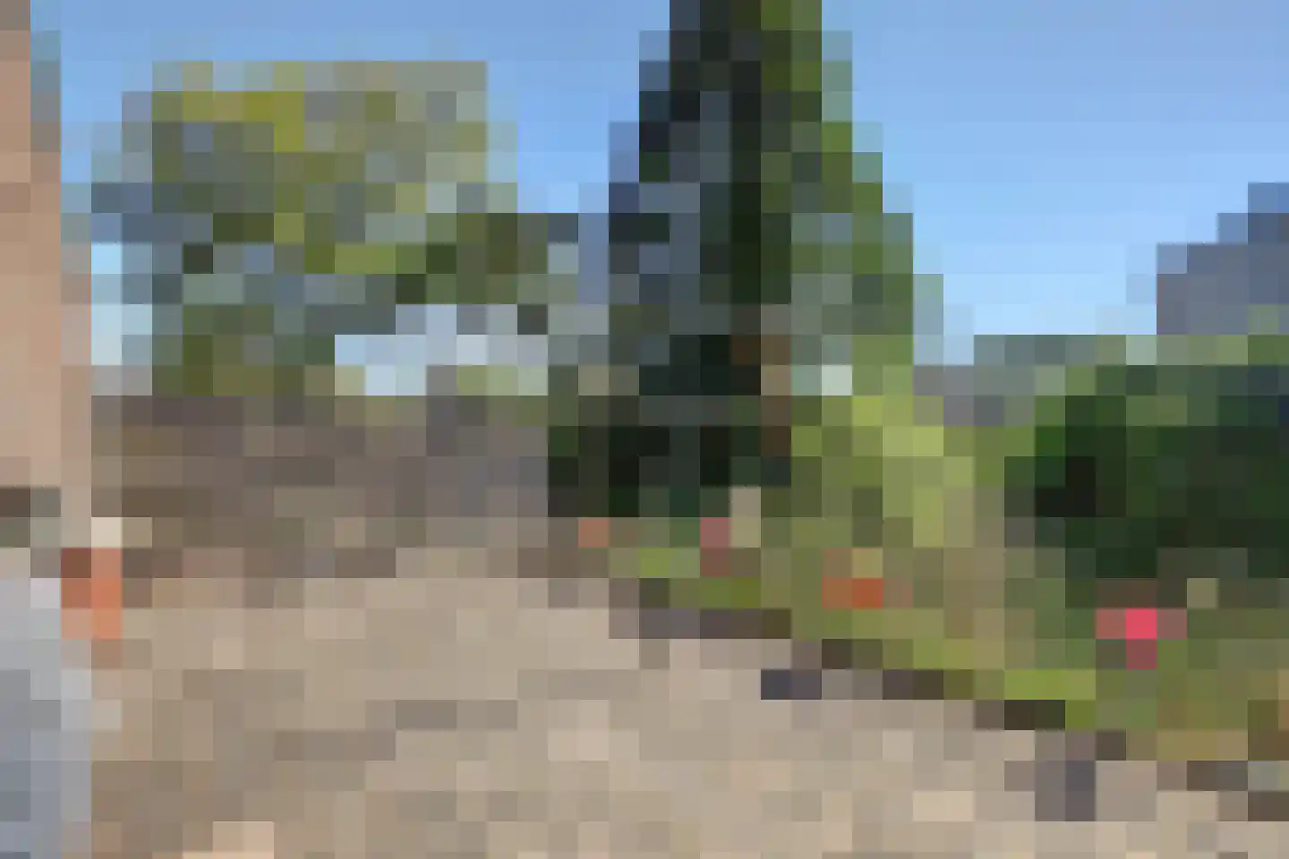 Kievitsweg 101 Ridderkerk thumbnail 34