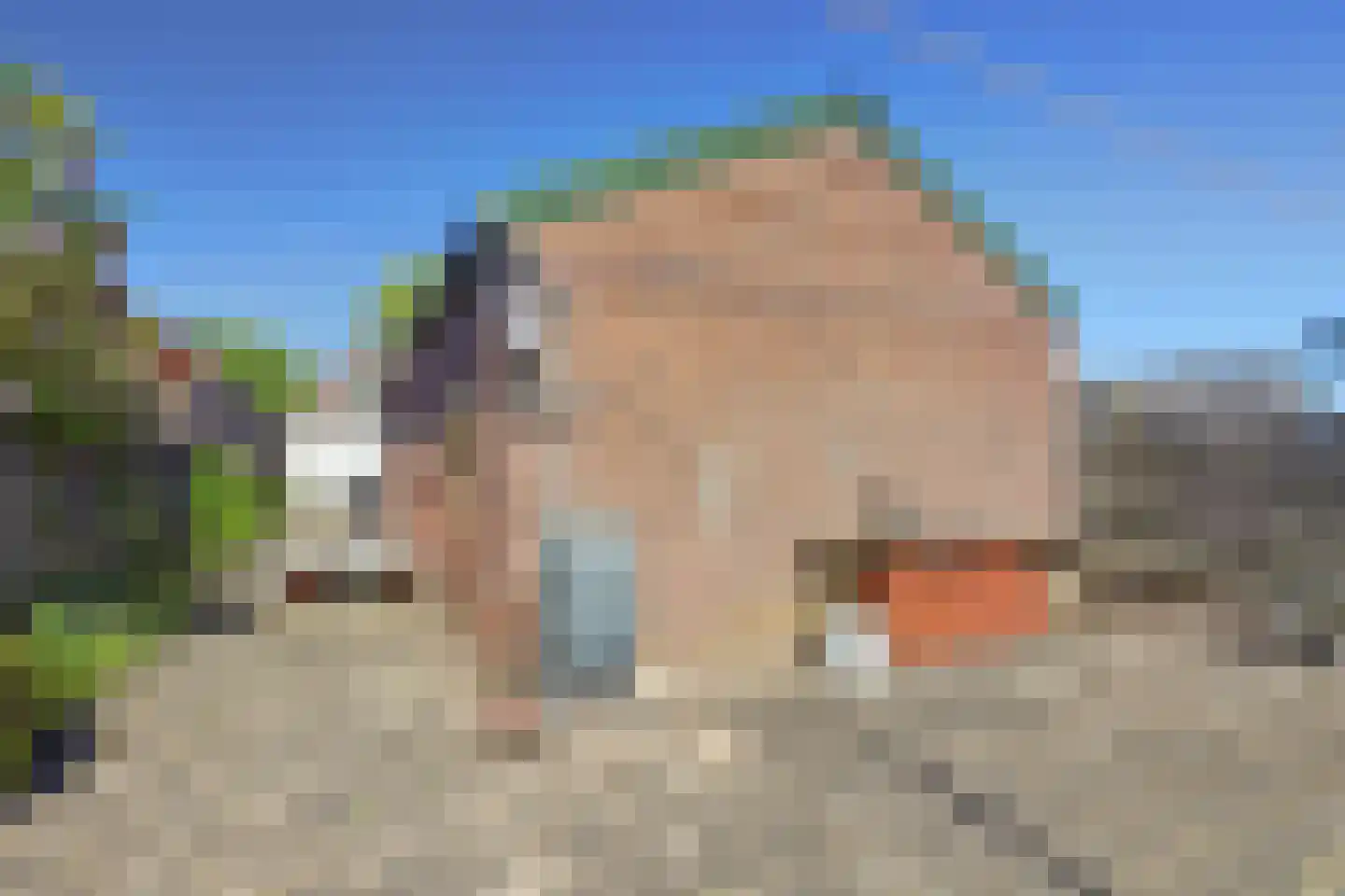 Kievitsweg 101 Ridderkerk thumbnail 35