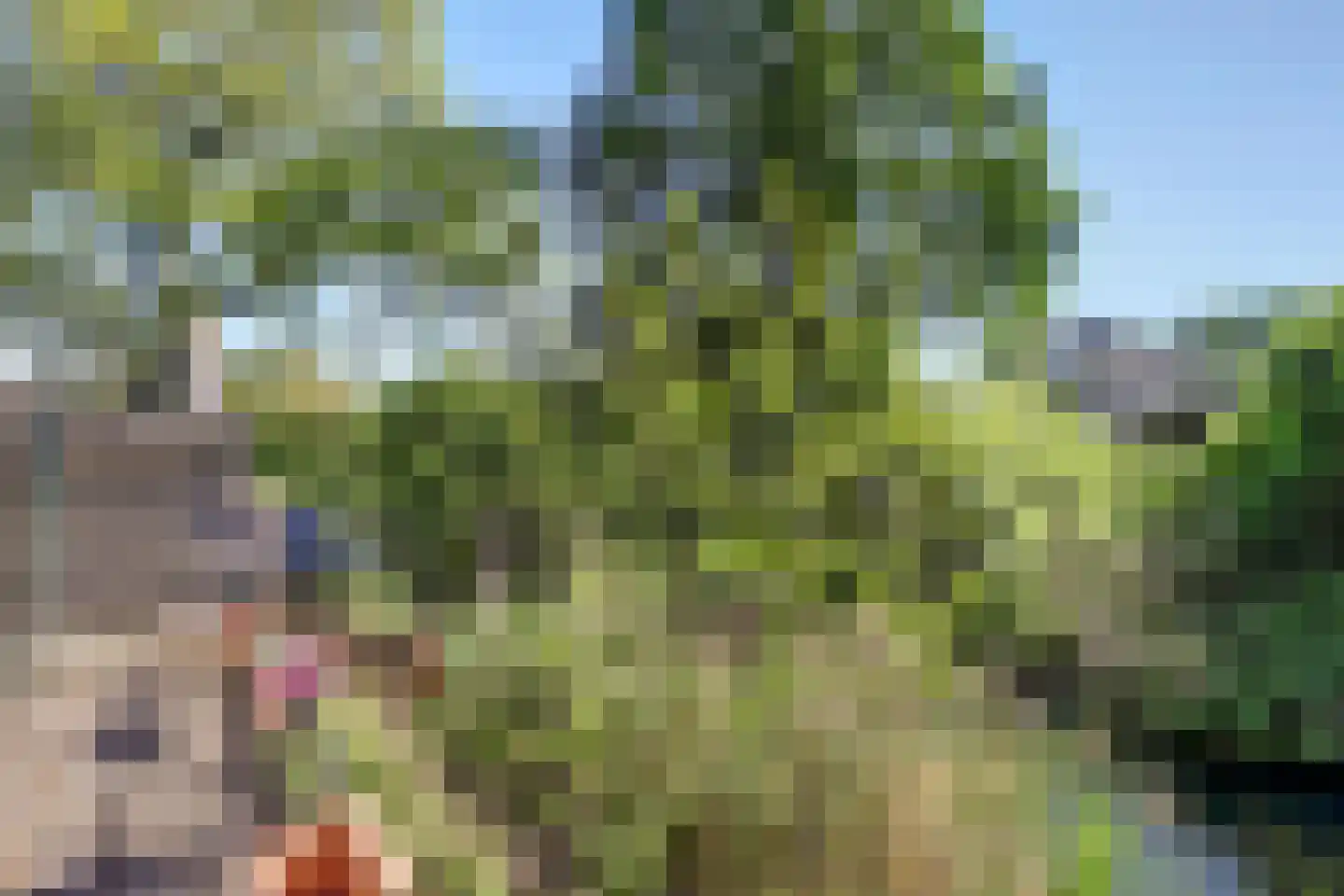 Kievitsweg 101 Ridderkerk thumbnail 36